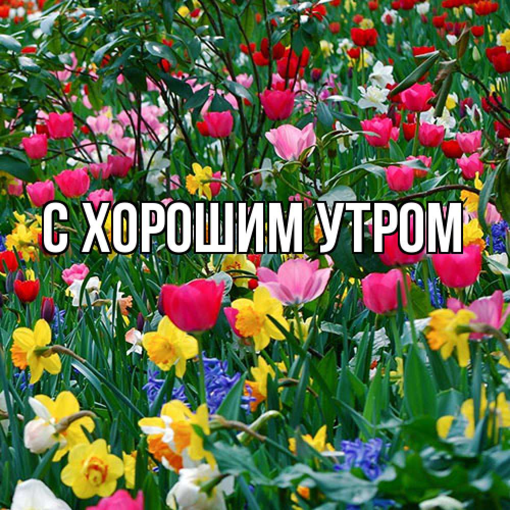 Открытка на каждый день с именем, Юния Люблю тебя с международным женским днем поздравления для женщины Прикольная открытка с пожеланием онлайн скачать бесплатно 