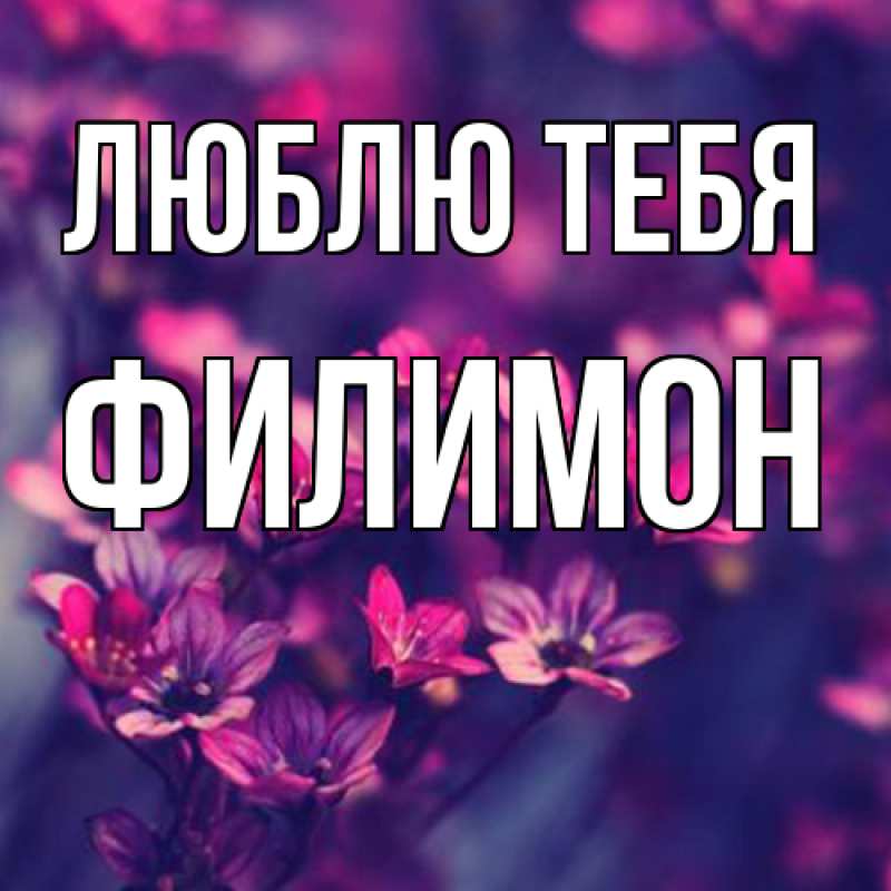 Картинка Люблю тебя, Филимон