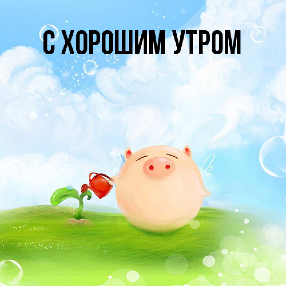 Открытка на каждый день с именем, Толя Я жду тебя позитивная свинюшка Прикольная открытка с пожеланием онлайн скачать бесплатно 