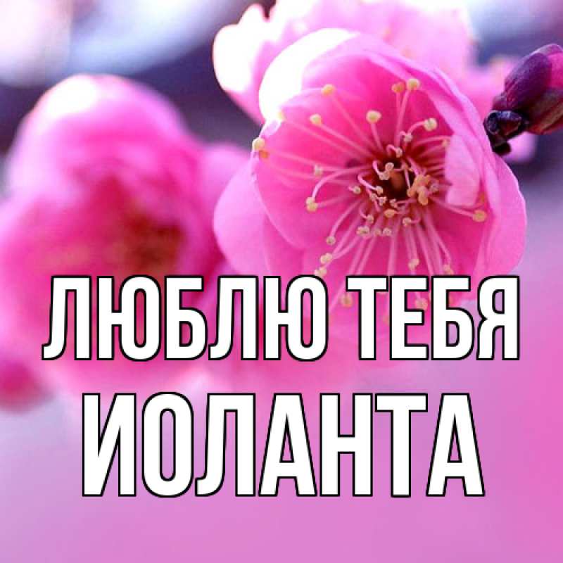 Картинка Люблю тебя, Иоланта