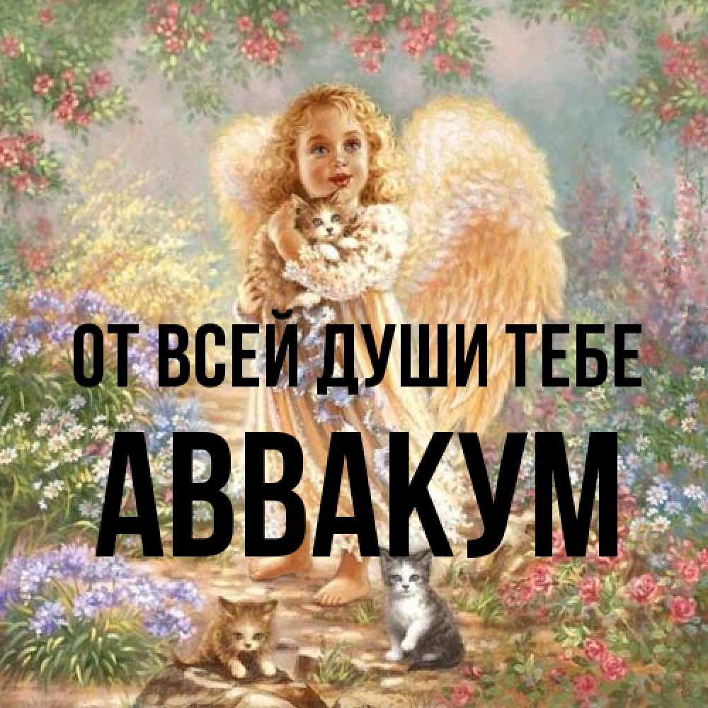 Открытка на каждый день с именем, Аввакум От всей души тебе держит котенка Прикольная открытка с пожеланием онлайн скачать бесплатно 