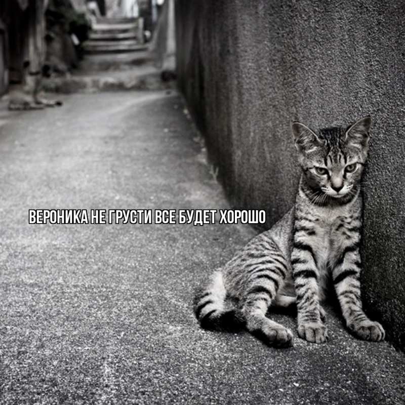 Картинка Не грусти, все будет хорошо, Вероника