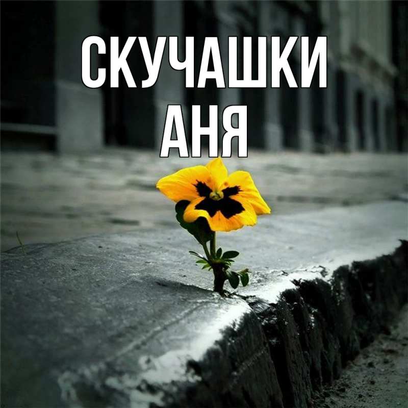Картинка Скучашки, Аня
