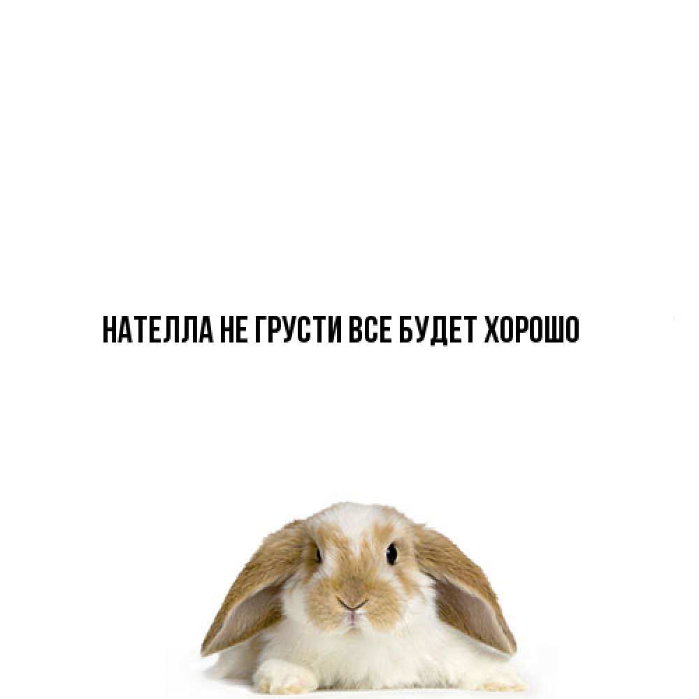 Открытка на каждый день с именем, Нателла Не грусти все будет хорошо коричнево белый заяц с большими ушками Прикольная открытка с пожеланием онлайн скачать бесплатно 