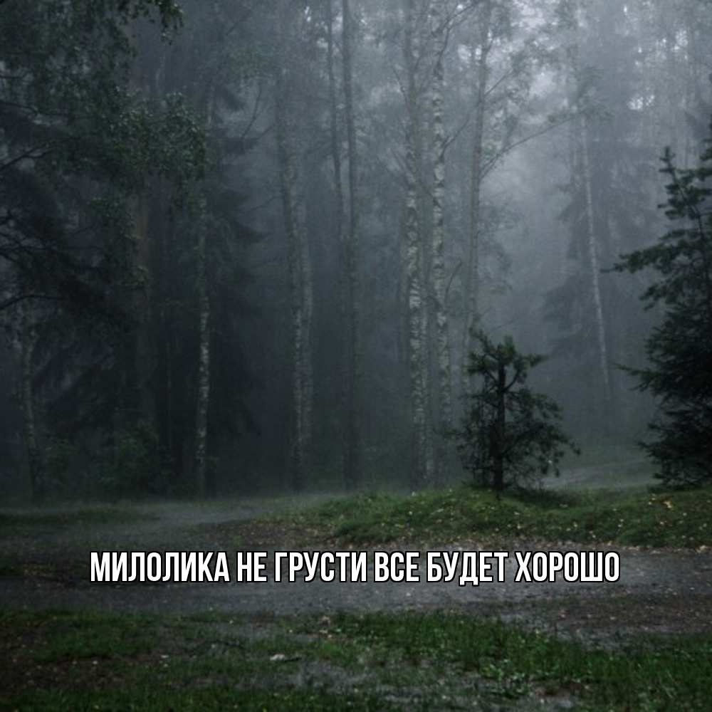 Открытка на каждый день с именем, Милолика Не грусти все будет хорошо осень Прикольная открытка с пожеланием онлайн скачать бесплатно 