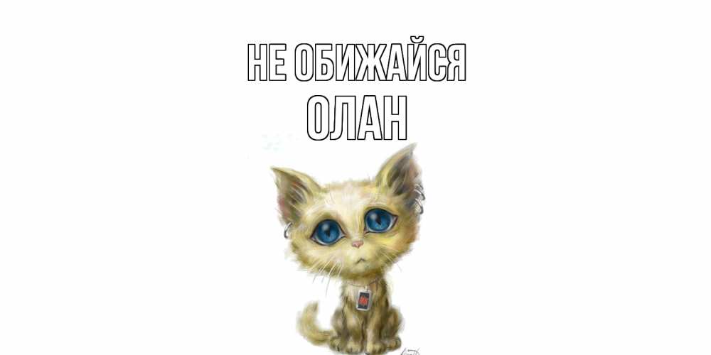 Открытка на каждый день с именем, Олан Не обижайся прости меня открытка с котиком Прикольная открытка с пожеланием онлайн скачать бесплатно 