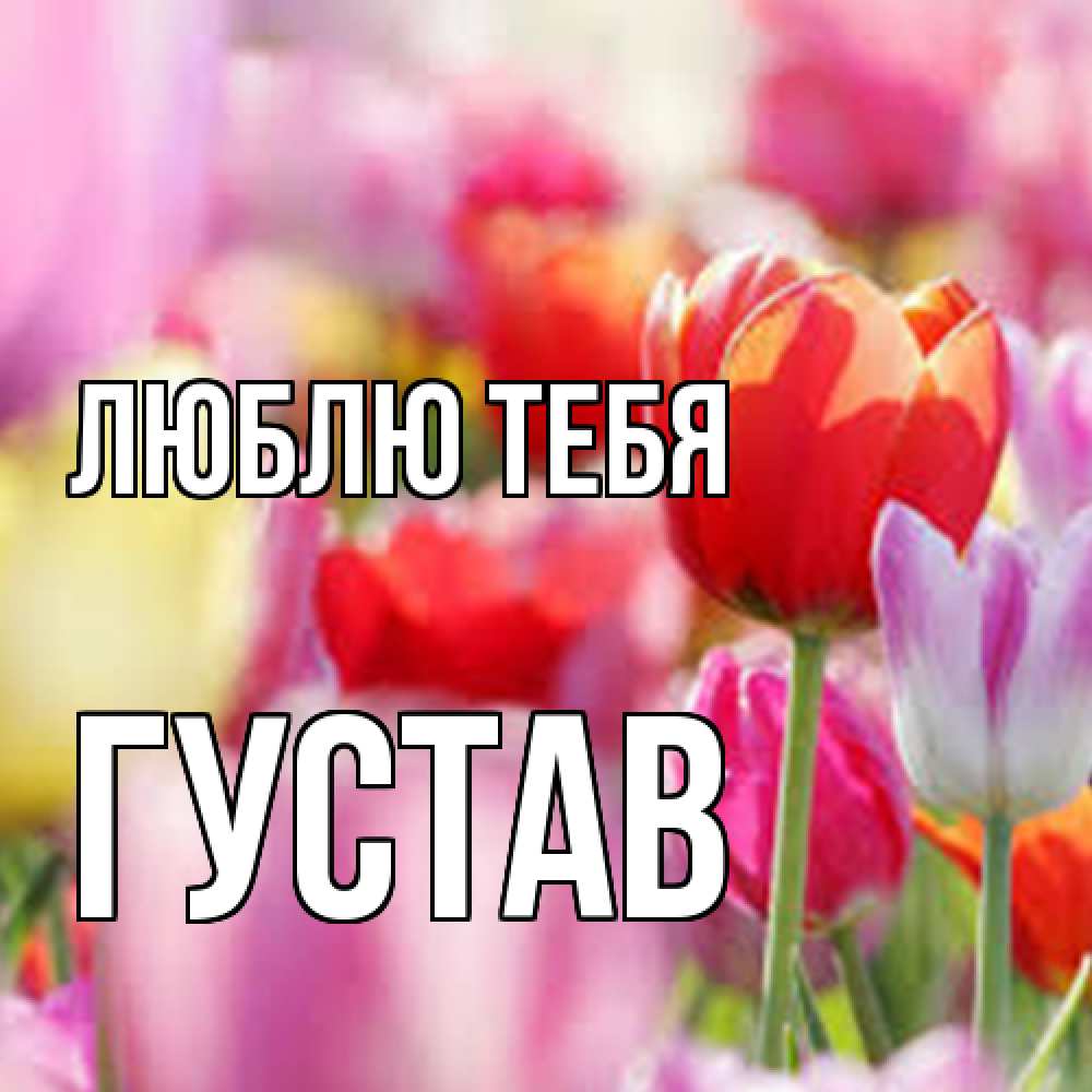 Открытка на каждый день с именем, Густав Люблю тебя на международный женский день 2 Прикольная открытка с пожеланием онлайн скачать бесплатно 