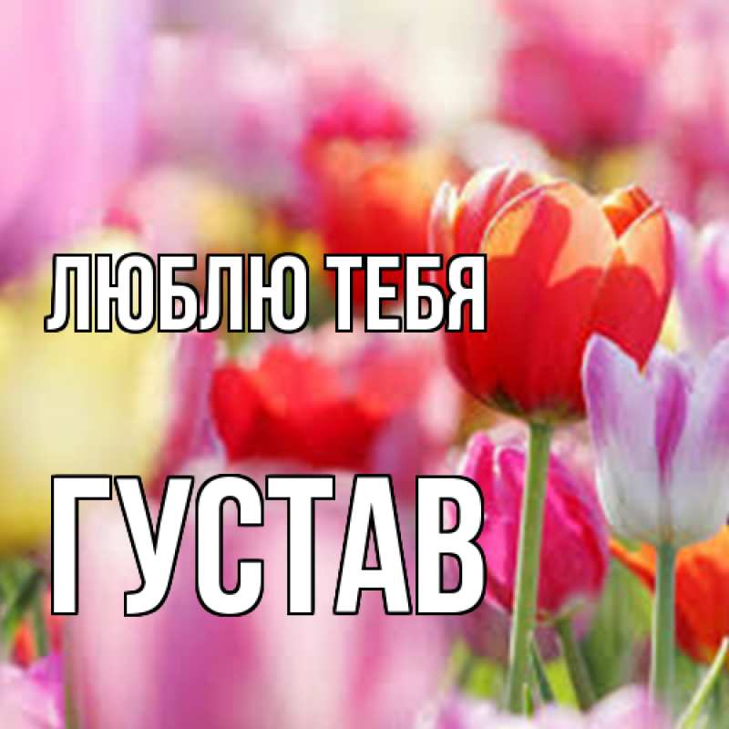 Картинка Люблю тебя, Густав