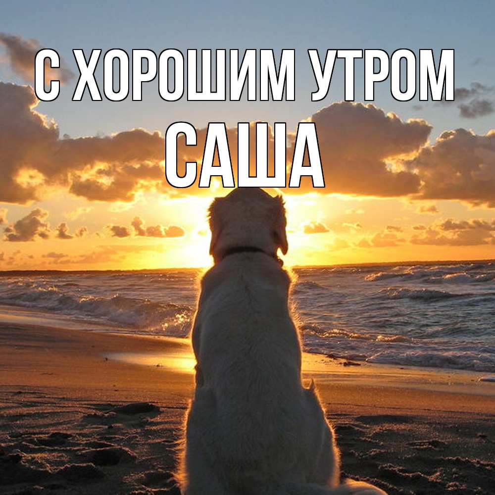 Открытка на каждый день с именем, Саша С хорошим утром восход солнца Прикольная открытка с пожеланием онлайн скачать бесплатно 