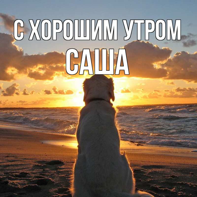 Картинка С хорошим утром, Саша
