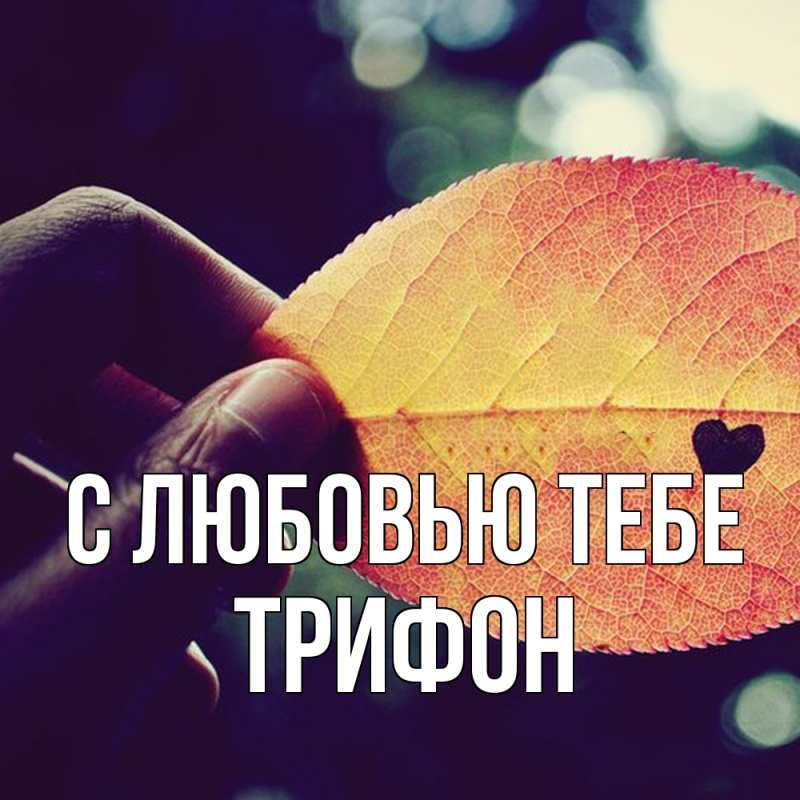 Картинка С любовью тебе, Трифон