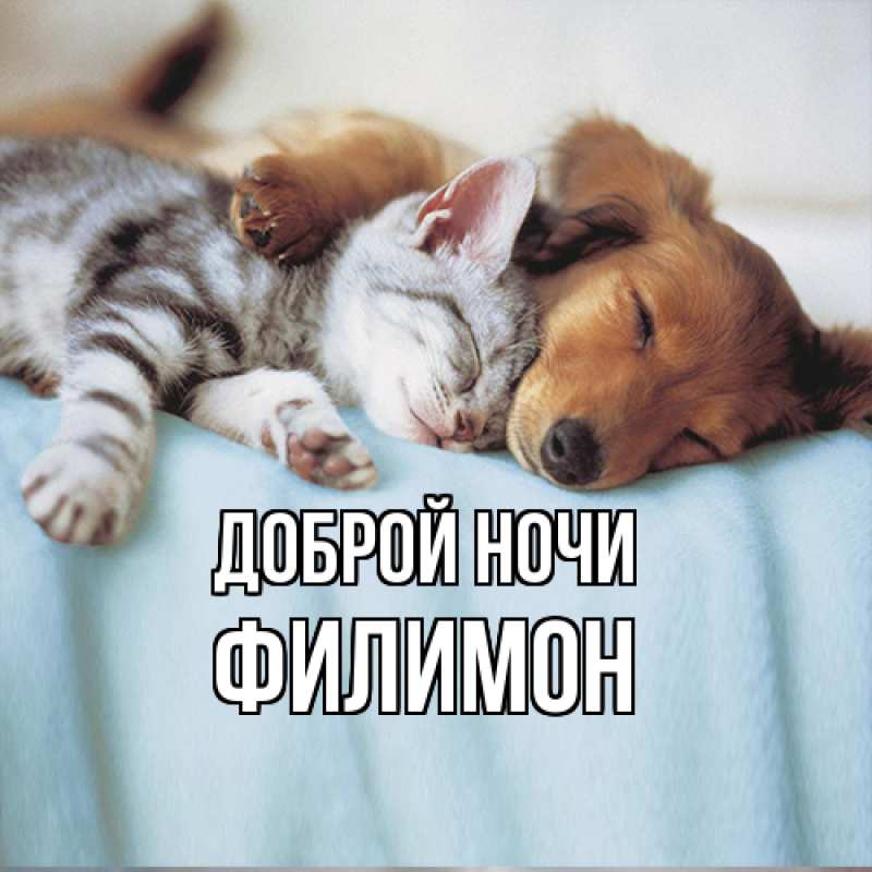 Картинка Доброй ночи, Филимон