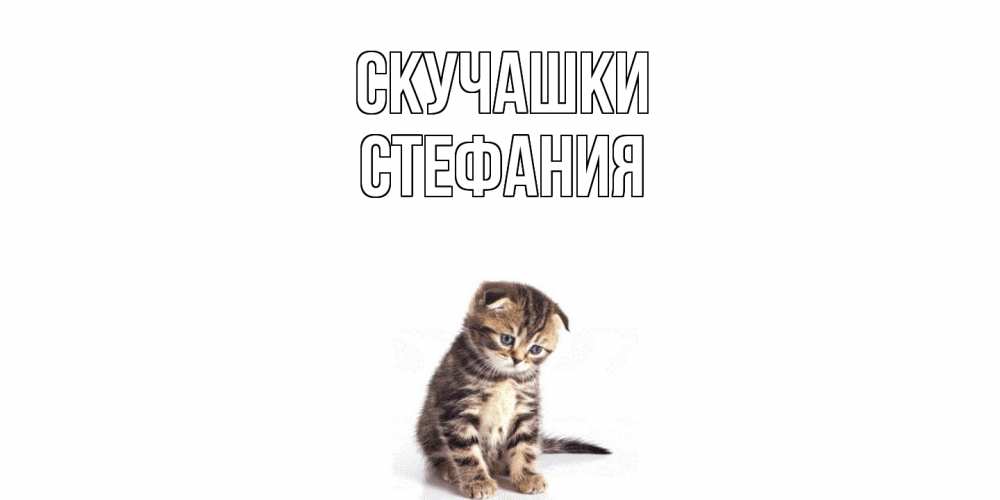 Открытка на каждый день с именем, Стефания Скучашки кот Прикольная открытка с пожеланием онлайн скачать бесплатно 
