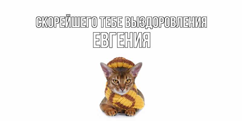 Картинка Скорейшего тебе выздоровления, Евгения