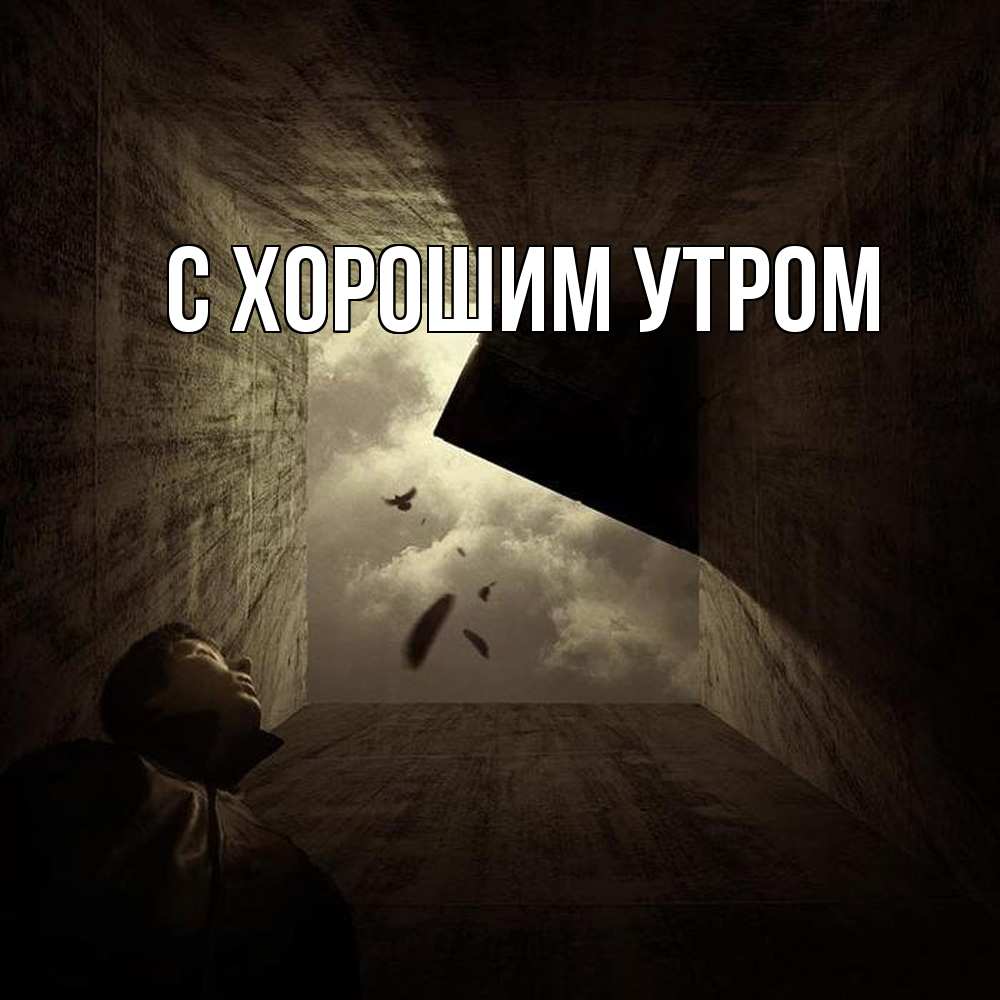 Открытка на каждый день с именем, Катюша Скучашки тут Прикольная открытка с пожеланием онлайн скачать бесплатно 