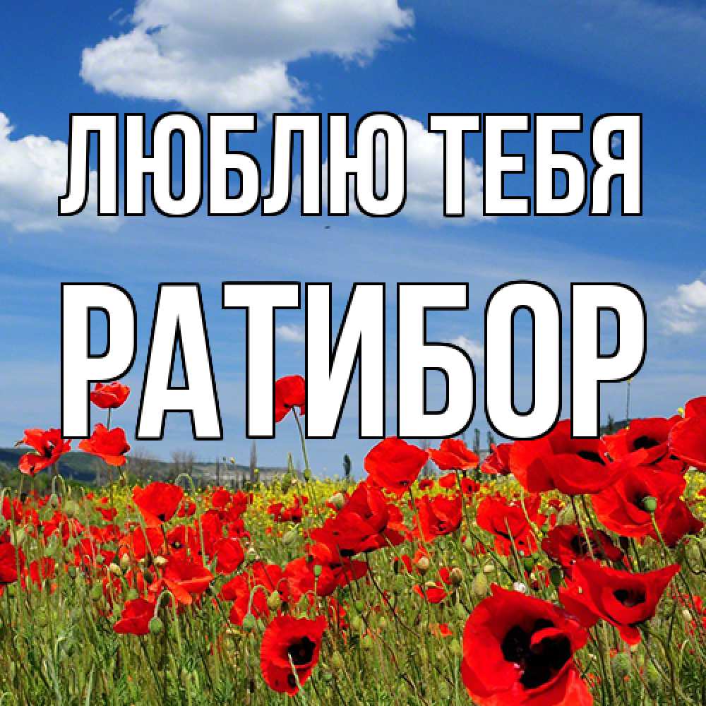 Открытка на каждый день с именем, Ратибор Люблю тебя международный женский день 1 Прикольная открытка с пожеланием онлайн скачать бесплатно 