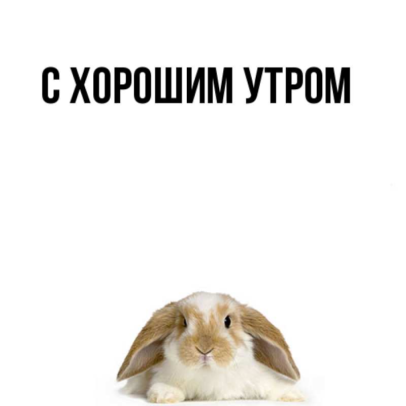 Картинка Я жду тебя, Толя