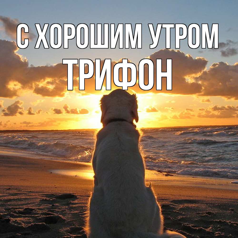 Открытка на каждый день с именем, Трифон С хорошим утром восход солнца Прикольная открытка с пожеланием онлайн скачать бесплатно 