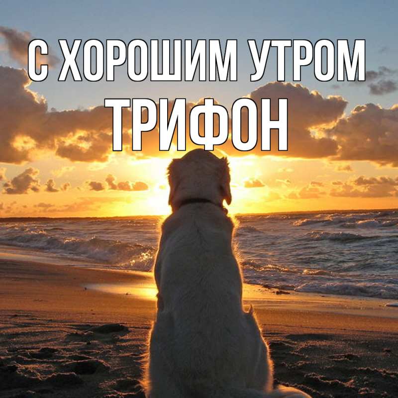 Картинка С хорошим утром, Трифон