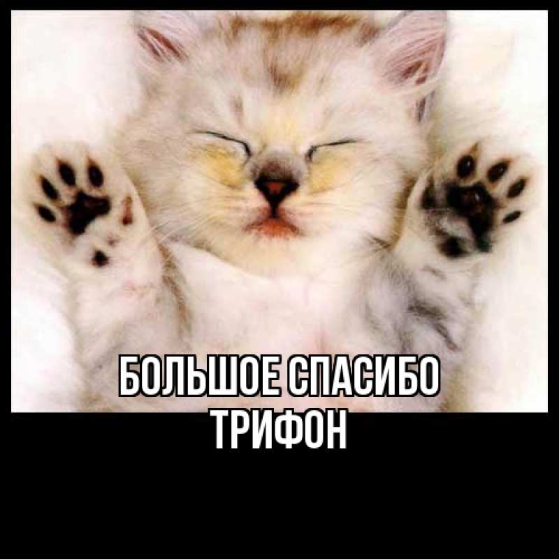 Картинка Большое спасибо, Трифон