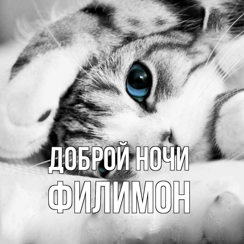 Картинка Доброй ночи, Филимон