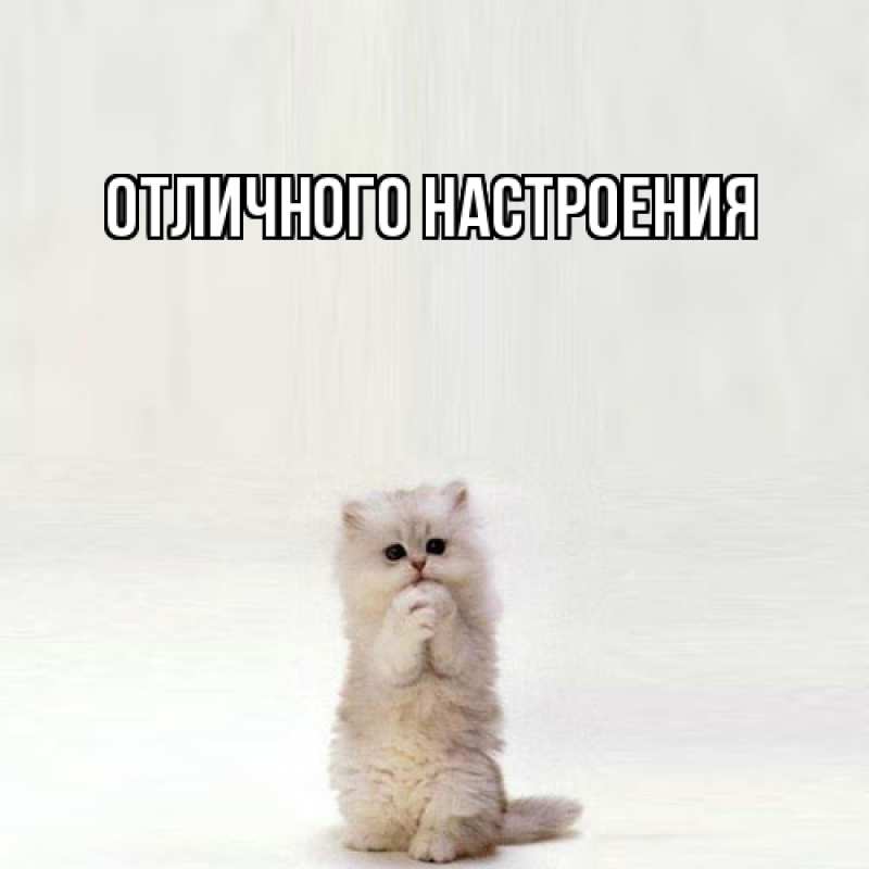 Картинка Обнимашки, Владислава