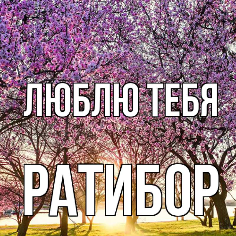 Картинка Люблю тебя, Ратибор