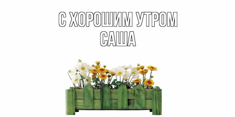 Картинка С хорошим утром, Саша