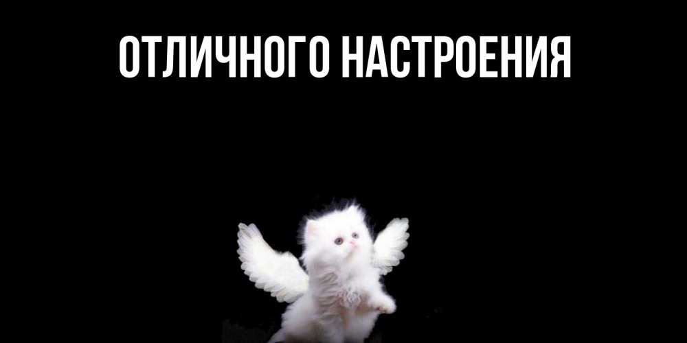 Открытка на каждый день с именем, Грета Ты моя радость Кот ангел Прикольная открытка с пожеланием онлайн скачать бесплатно 