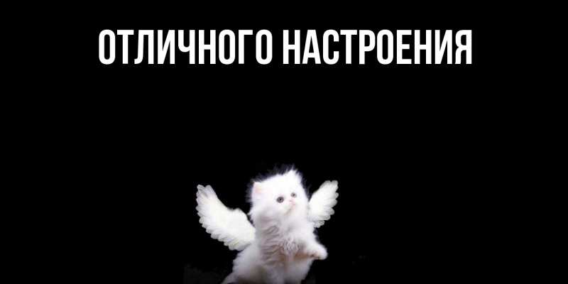 Картинка Ты моя радость, Грета