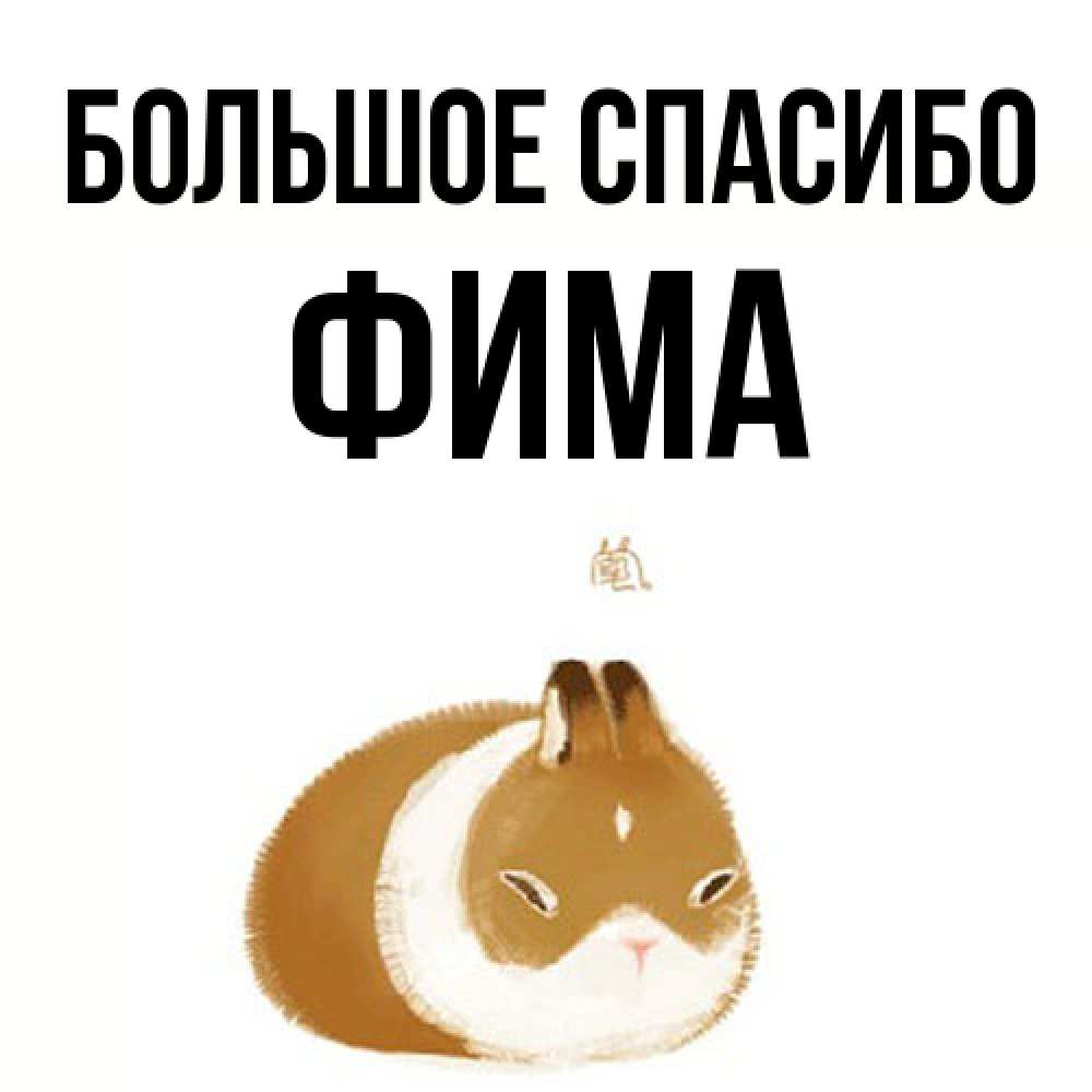 Открытка на каждый день с именем, Фима Большое спасибо коричнево белый домашний питомец Прикольная открытка с пожеланием онлайн скачать бесплатно 