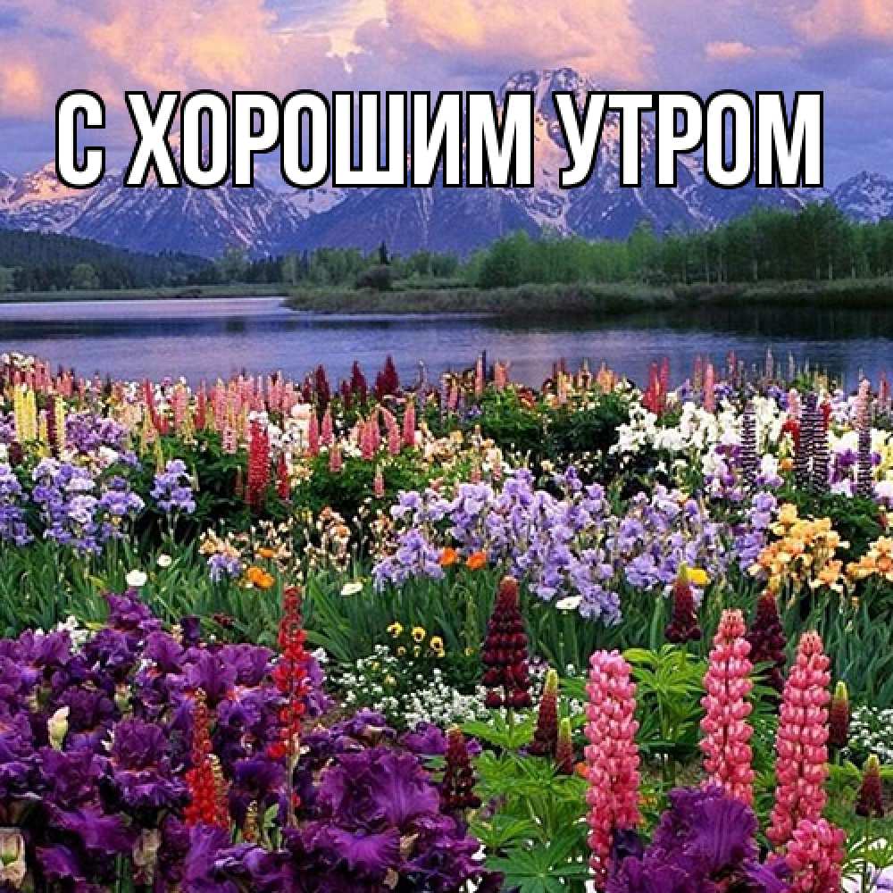 Открытка на каждый день с именем, Лёня Люблю тебя международный женский день Прикольная открытка с пожеланием онлайн скачать бесплатно 