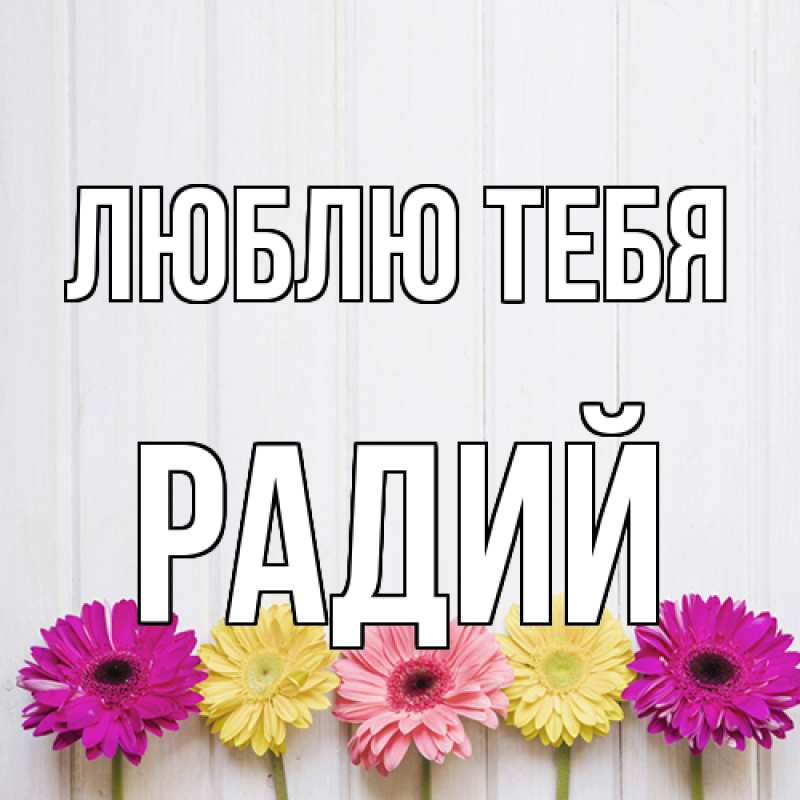 Картинка Люблю тебя, Радий