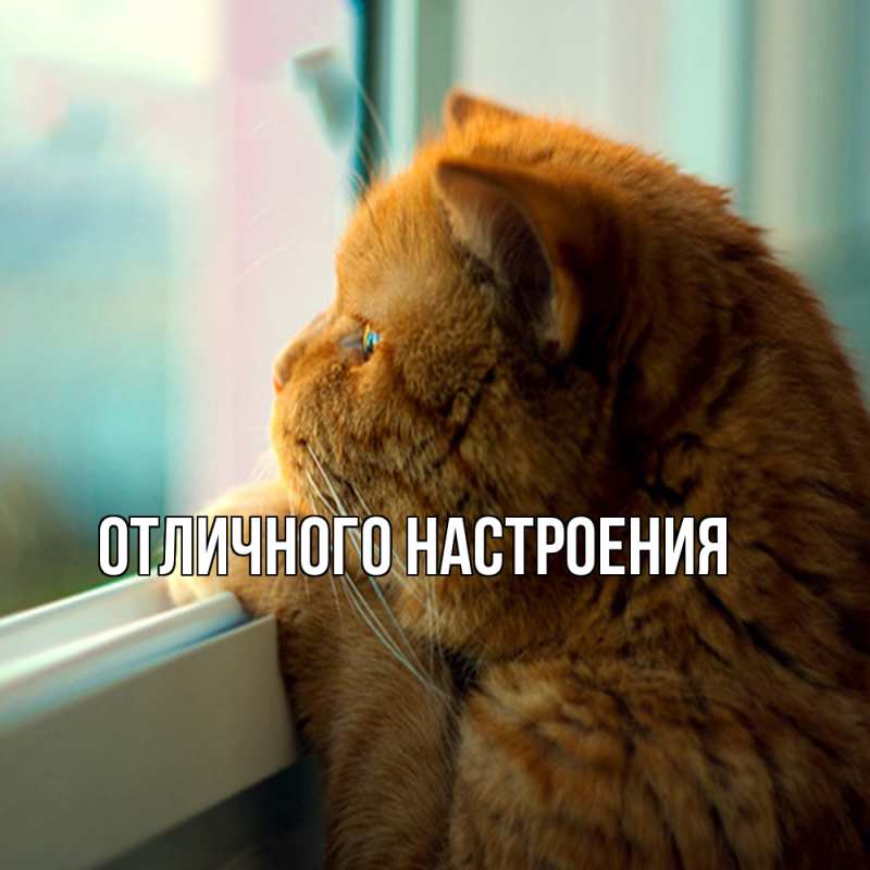 Картинка Обнимашки, Владислава