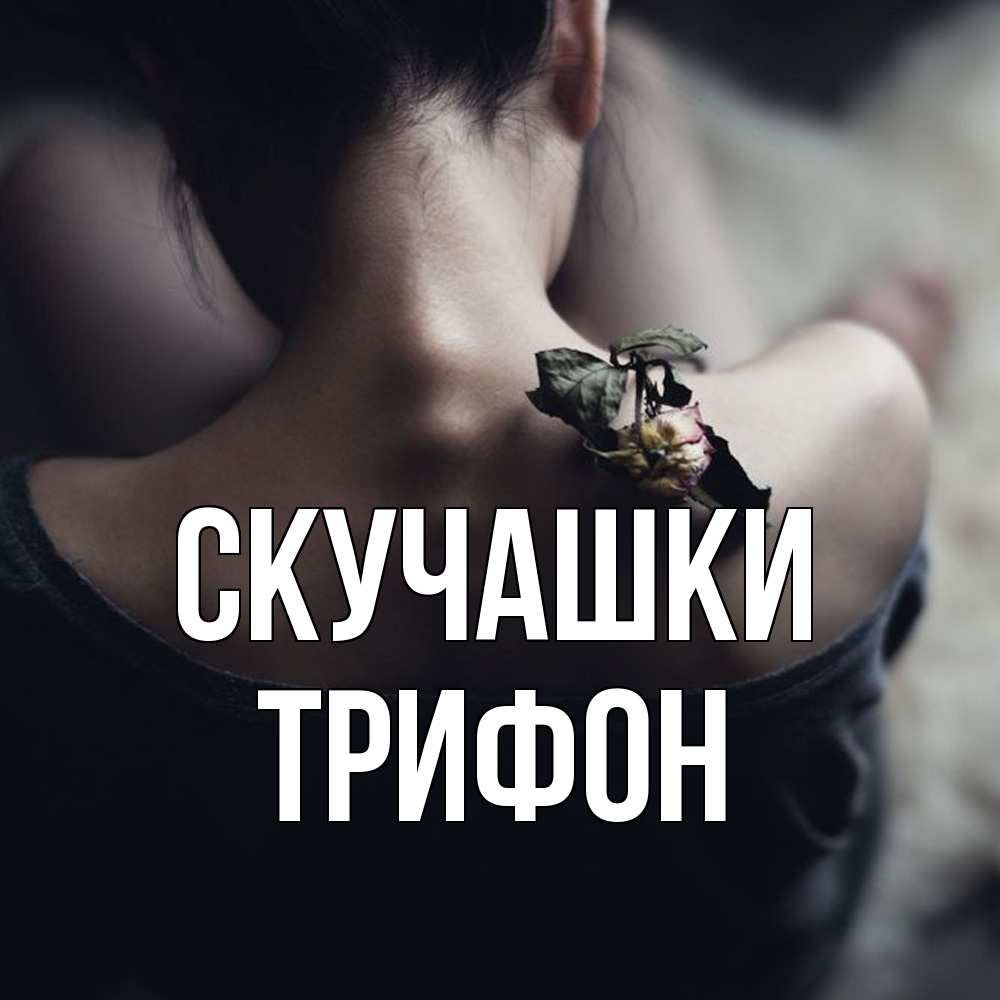 Открытка на каждый день с именем, Трифон Скучашки засох цветок Прикольная открытка с пожеланием онлайн скачать бесплатно 