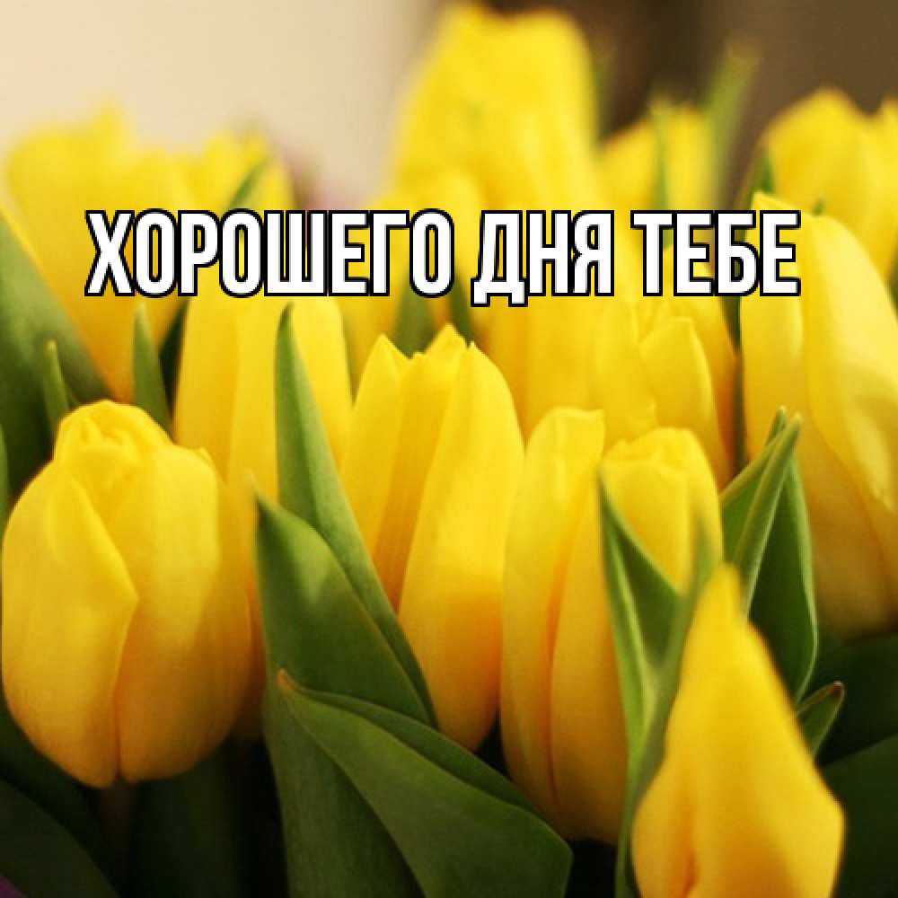 Открытка на каждый день с именем, Измаил Люблю тебя цветы Прикольная открытка с пожеланием онлайн скачать бесплатно 