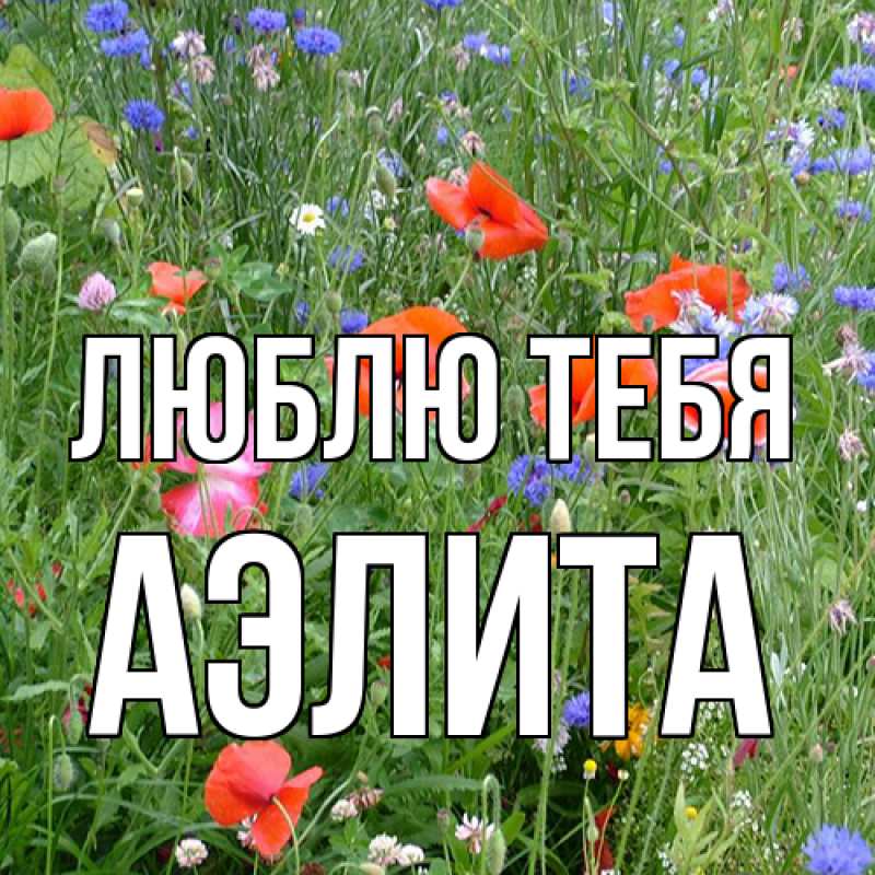 Открытка с именем, Аэлита, Люблю тебя