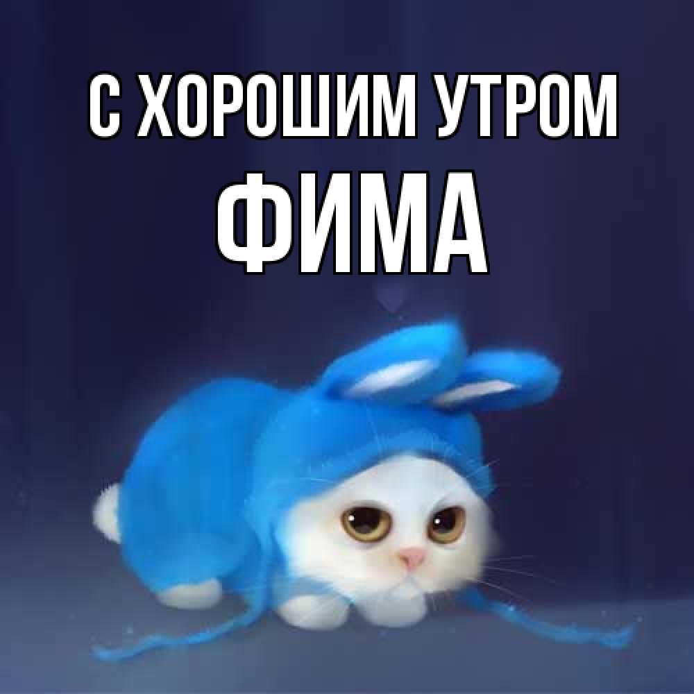 Открытка на каждый день с именем, Фима С хорошим утром открытки красивые скачать бесплатно Прикольная открытка с пожеланием онлайн скачать бесплатно 