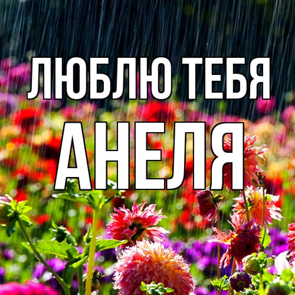 Открытка на каждый день с именем, Анеля Люблю тебя цветы под дождиком к международному женскому дню Прикольная открытка с пожеланием онлайн скачать бесплатно 