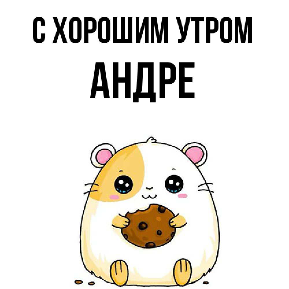 Открытка на каждый день с именем, Андре С хорошим утром есть печеньку. Утречко Прикольная открытка с пожеланием онлайн скачать бесплатно 