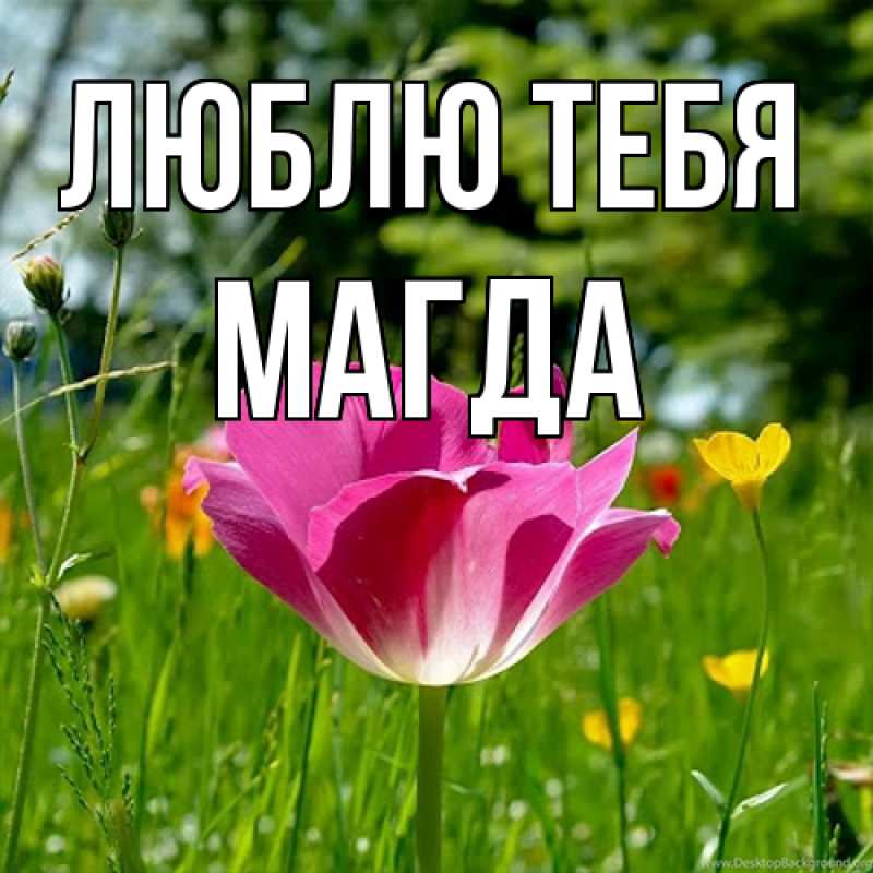 Картинка Люблю тебя, Магда