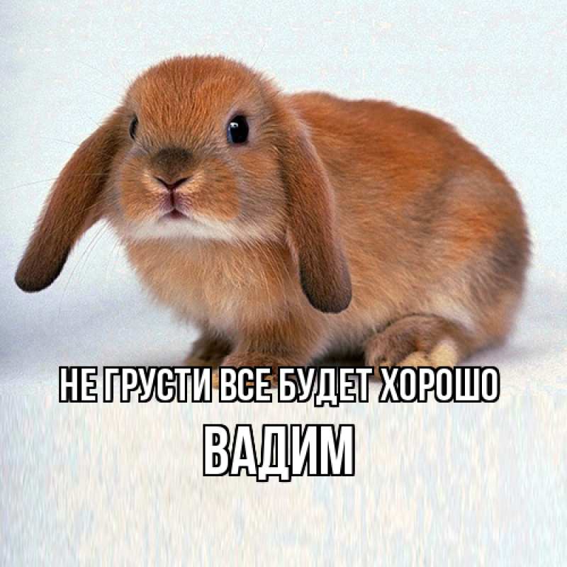 Открытка с именем, Вадим, Не грусти все будет хорошо