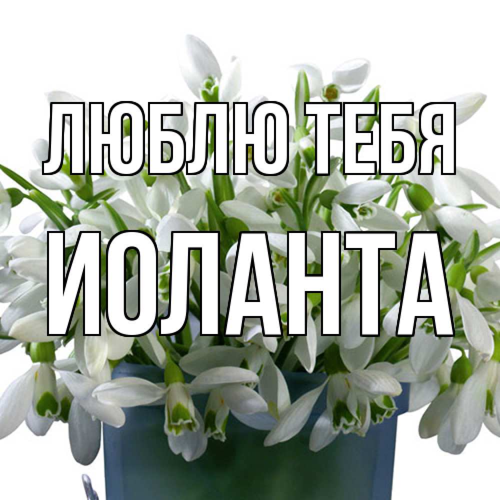 Открытка на каждый день с именем, Иоланта Люблю тебя цветы к международному женскому дню Прикольная открытка с пожеланием онлайн скачать бесплатно 