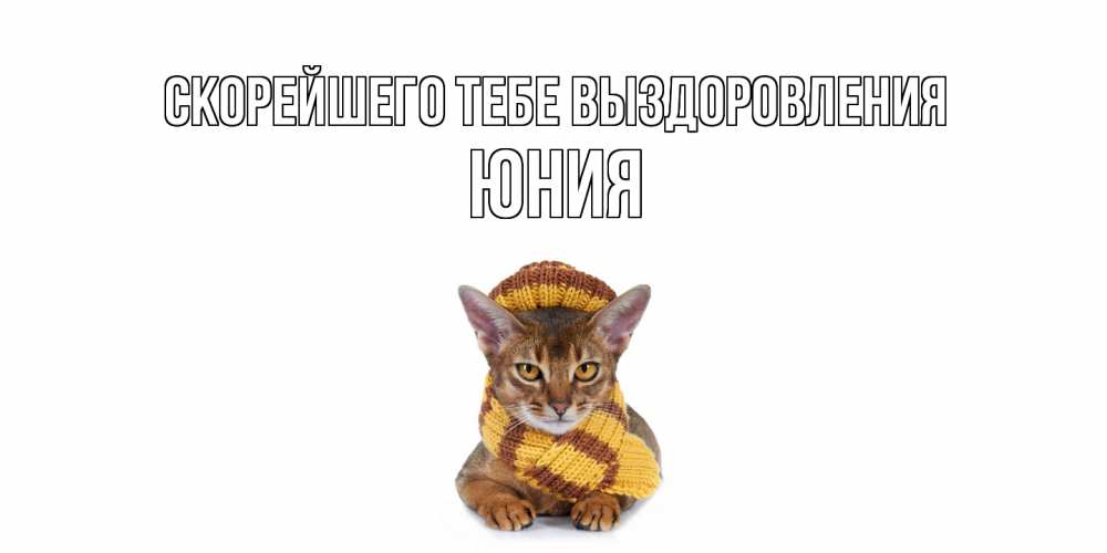 Открытка на каждый день с именем, Юния Скорейшего тебе выздоровления родные не болейте Прикольная открытка с пожеланием онлайн скачать бесплатно 