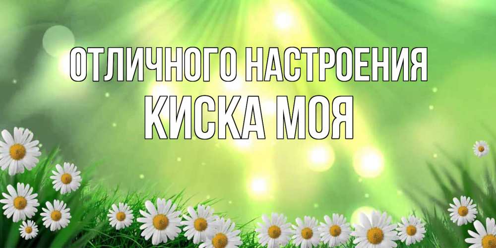 Открытка на каждый день с именем, Киска-моя Отличного настроения открытка с ромашками и солнечными лучами Прикольная открытка с пожеланием онлайн скачать бесплатно 