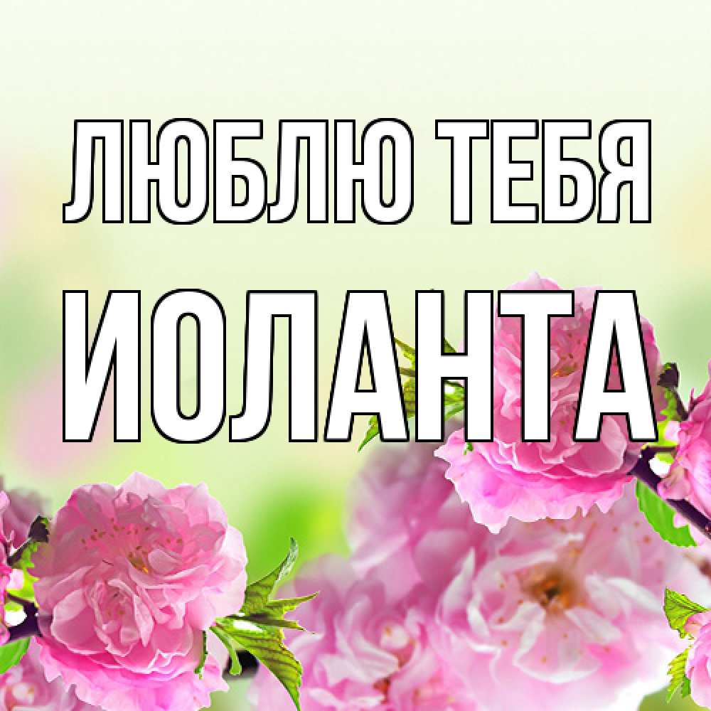 Открытка на каждый день с именем, Иоланта Люблю тебя цветы Прикольная открытка с пожеланием онлайн скачать бесплатно 