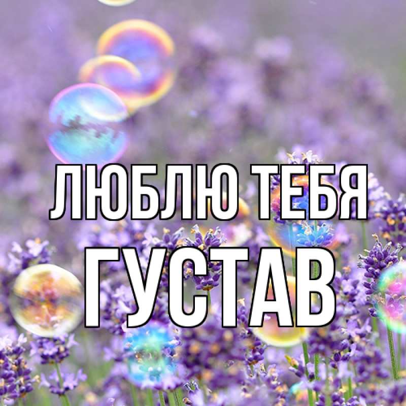 Картинка Люблю тебя, Густав