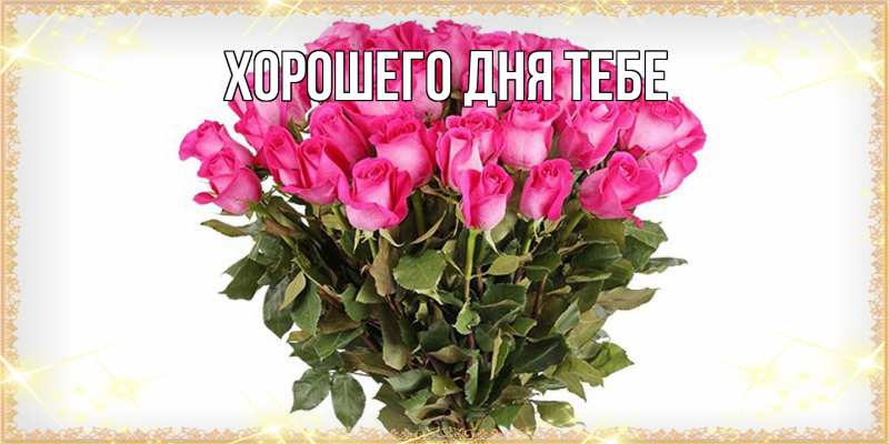 Картинка Люблю тебя, Гастон