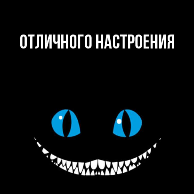 Картинка Большое спасибо, Толя