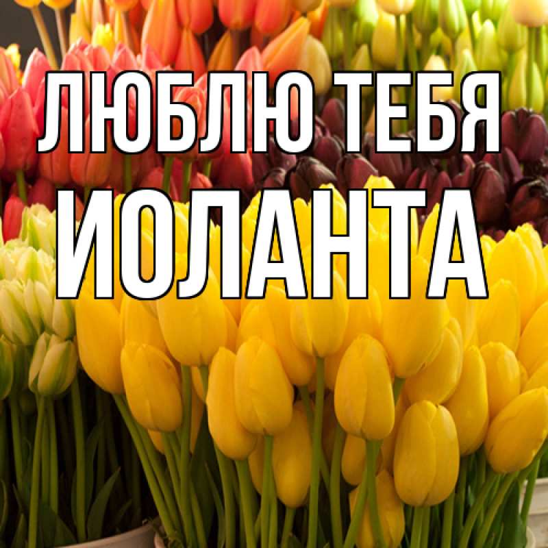 Картинка Люблю тебя, Иоланта